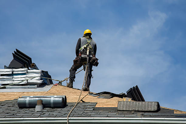 Professional Gutter Installation technician working in Princeton, MN